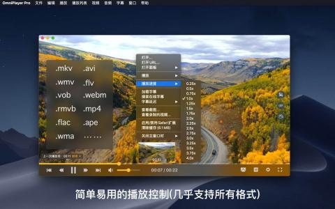 OmniPlayer Pro 2.1.12 for Mac：全能影音播放器的深度解析